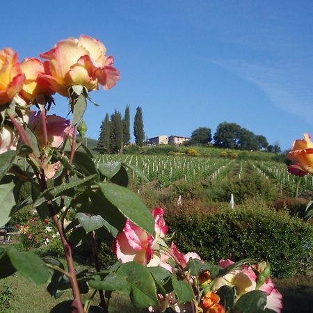 Villa Buonasera Agriturismo Greve in Chianti Εξωτερικό φωτογραφία