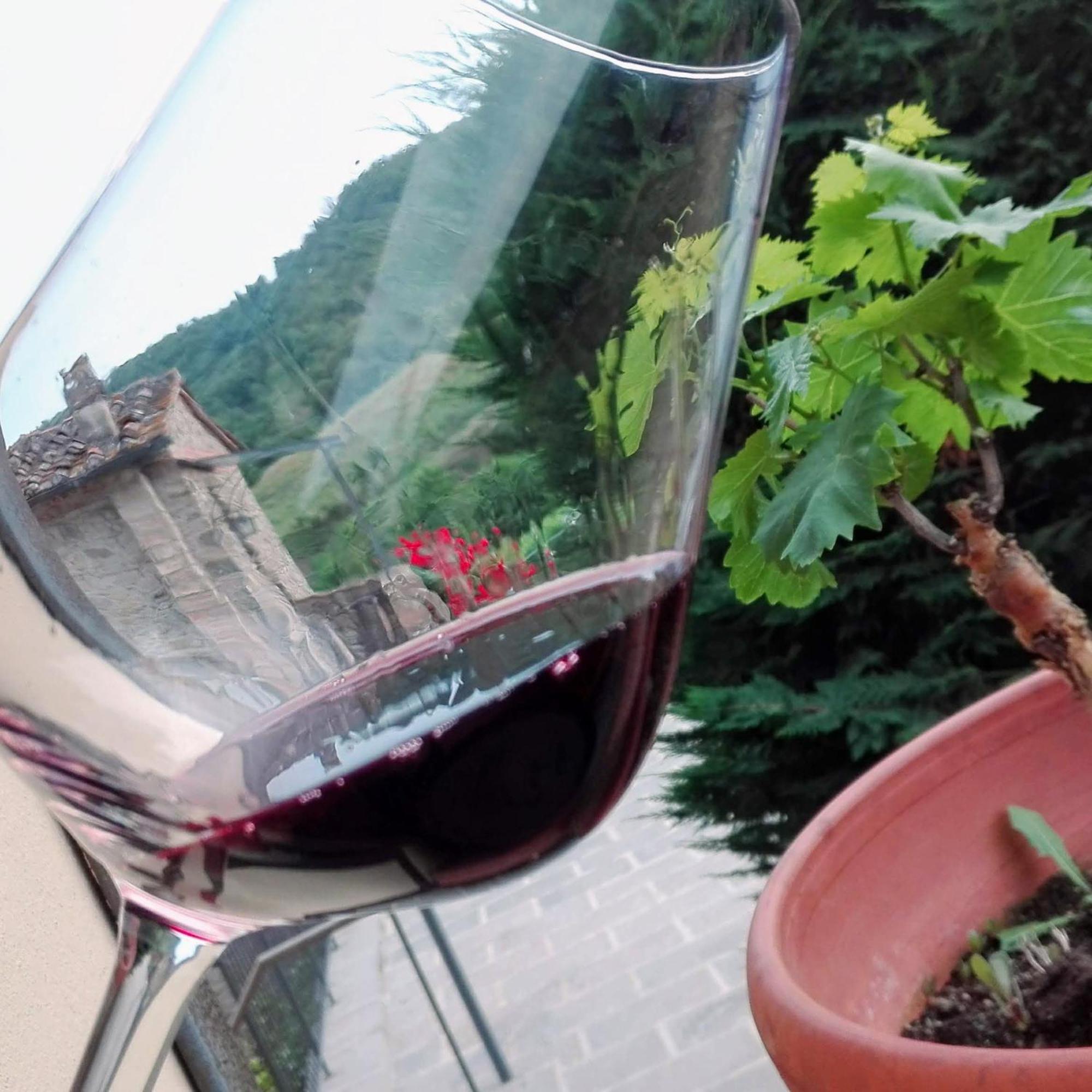 Villa Buonasera Agriturismo Greve in Chianti Εξωτερικό φωτογραφία