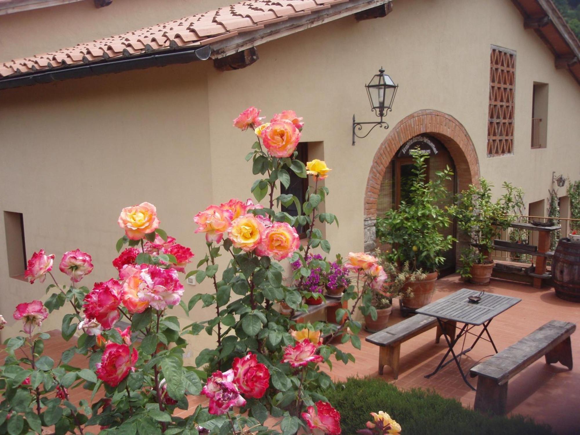 Villa Buonasera Agriturismo Greve in Chianti Εξωτερικό φωτογραφία
