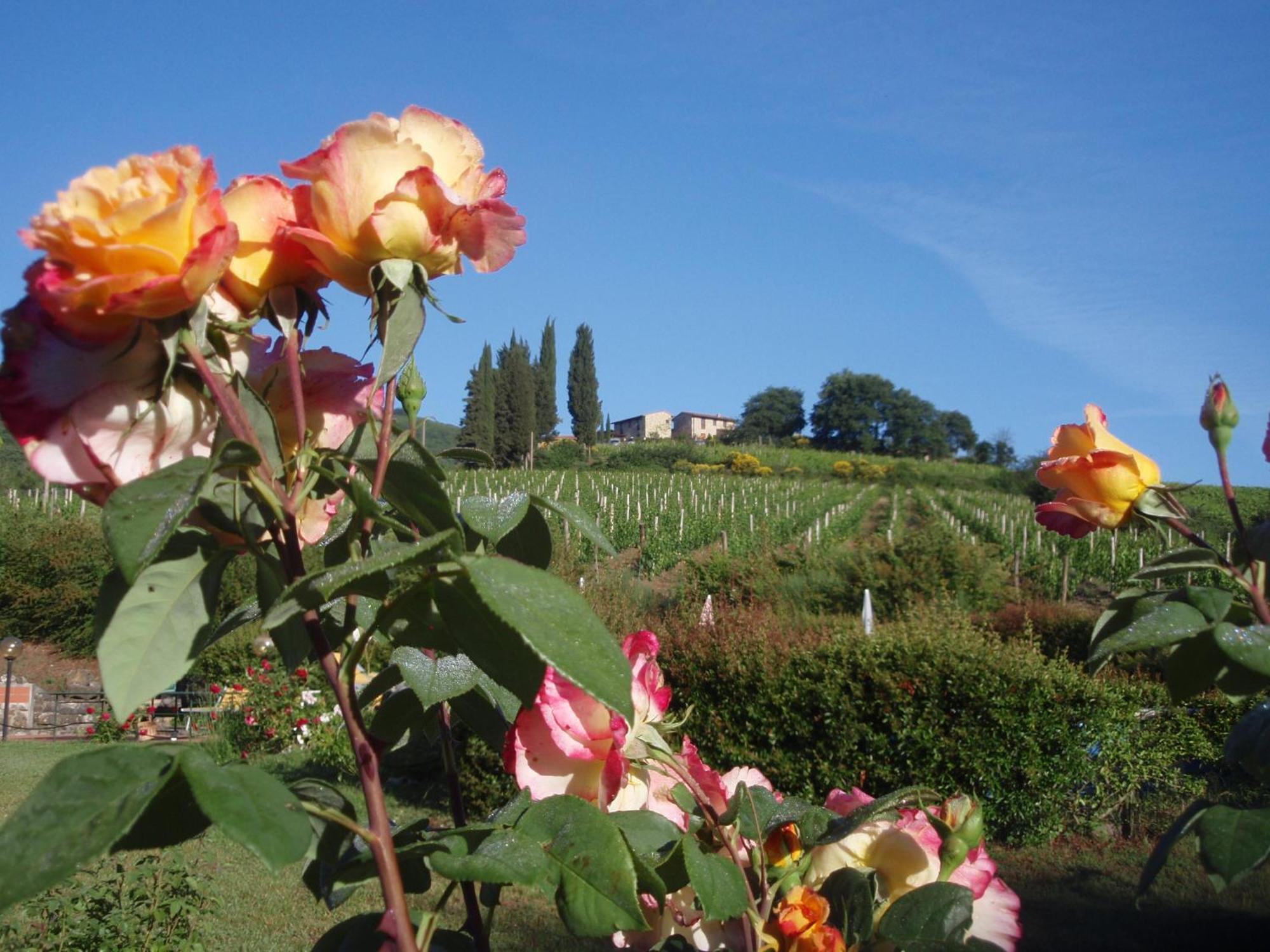 Villa Buonasera Agriturismo Greve in Chianti Εξωτερικό φωτογραφία