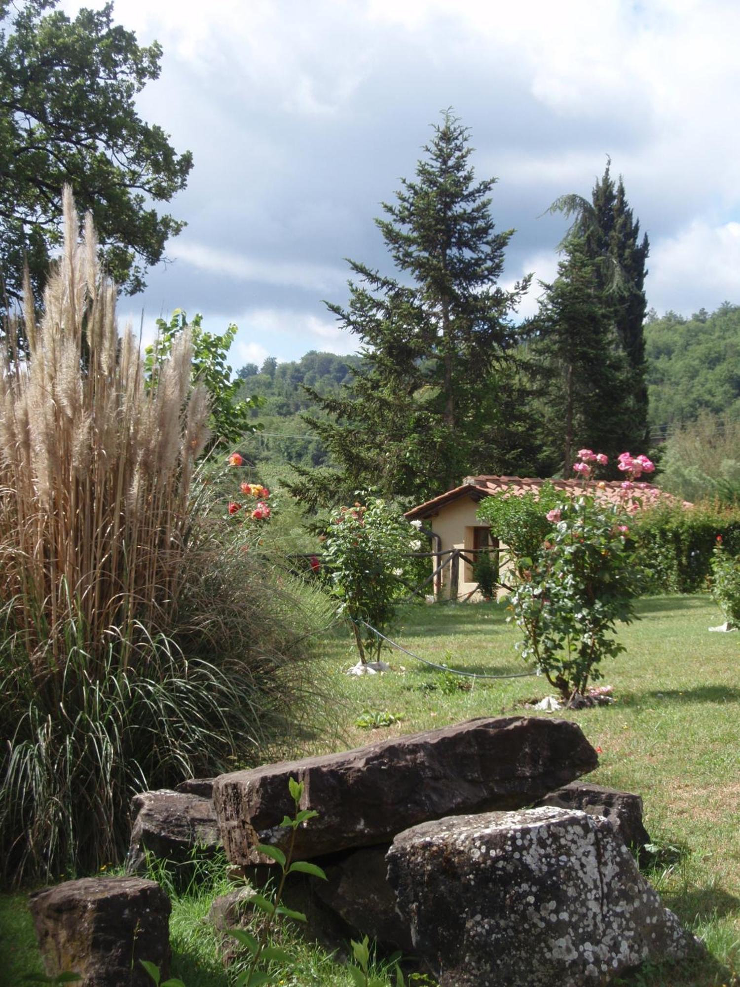 Villa Buonasera Agriturismo Greve in Chianti Εξωτερικό φωτογραφία