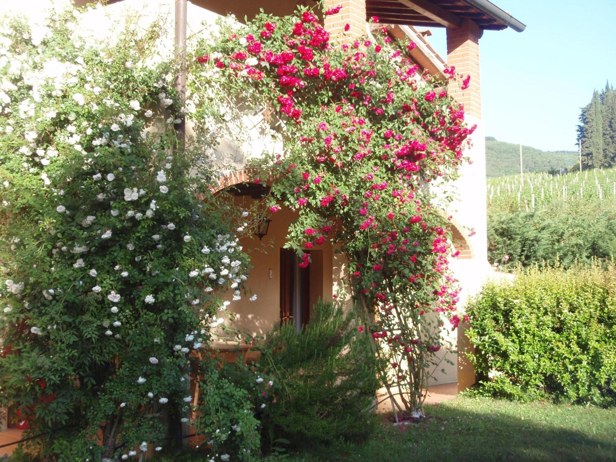 Villa Buonasera Agriturismo Greve in Chianti Εξωτερικό φωτογραφία