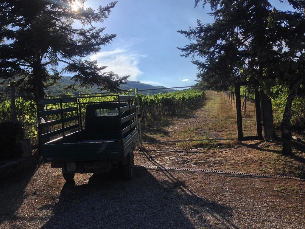 Villa Buonasera Agriturismo Greve in Chianti Εξωτερικό φωτογραφία